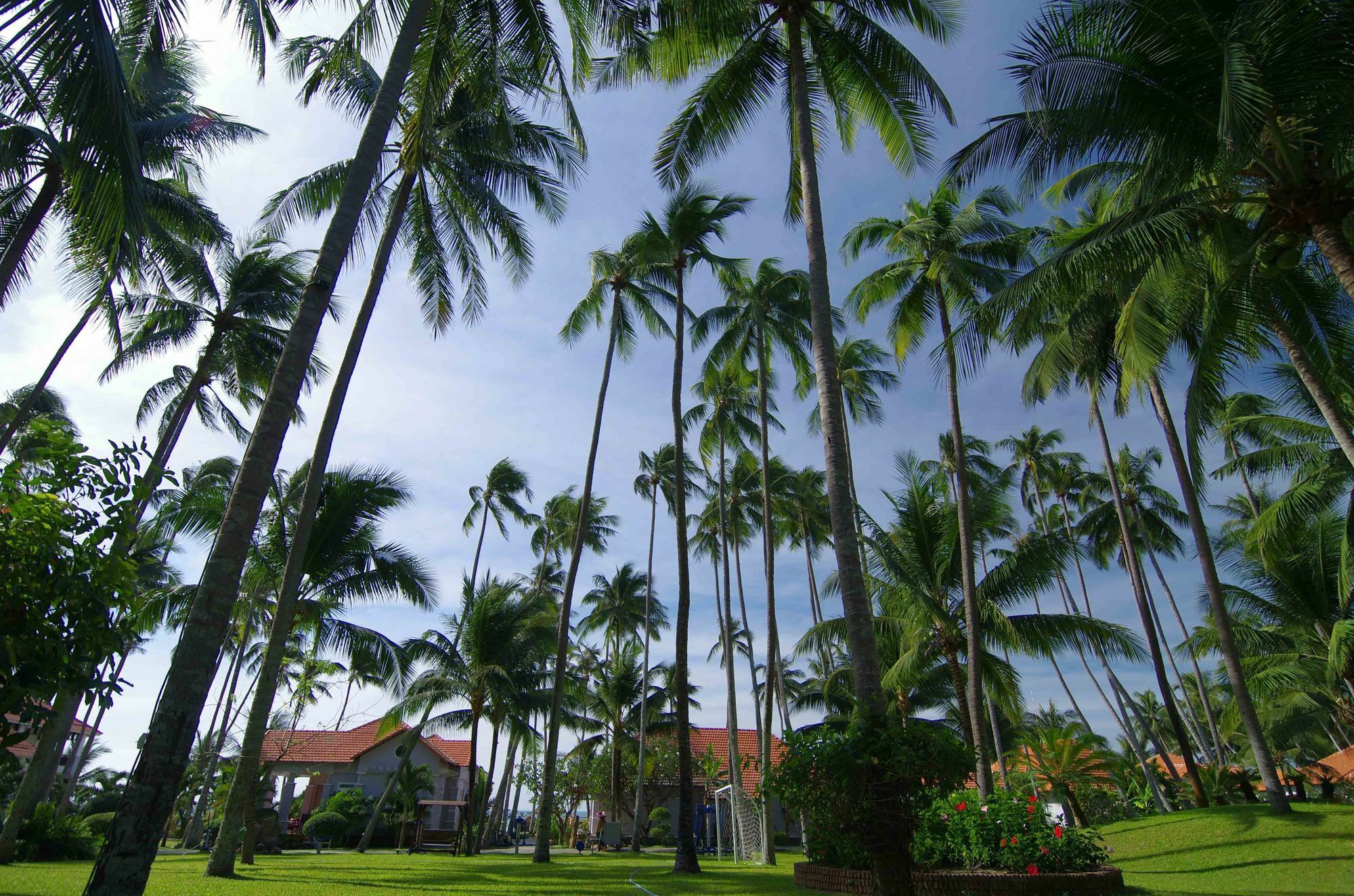 Muine de Century Resort&Spa Mũi Né Extérieur photo
