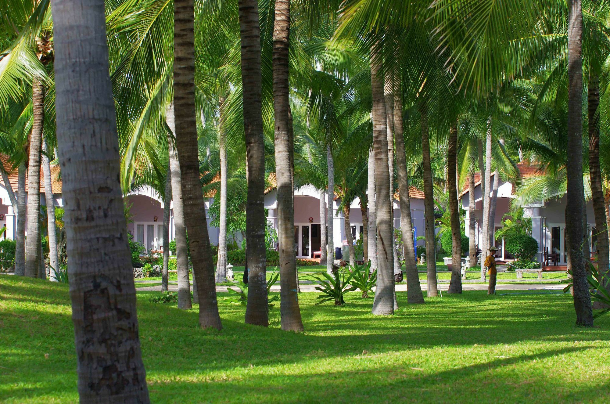 Muine de Century Resort&Spa Mũi Né Extérieur photo
